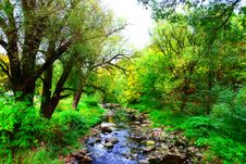Mountainous Creek Stock Photography Mountainous Creek Stock Photography