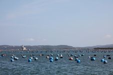 Italy Sardegna Breeding Of The Moules Olbia Royalty Free Stock Images Italy Sardegna Breeding Of The Moules Olbia Royalty Free Stock Images