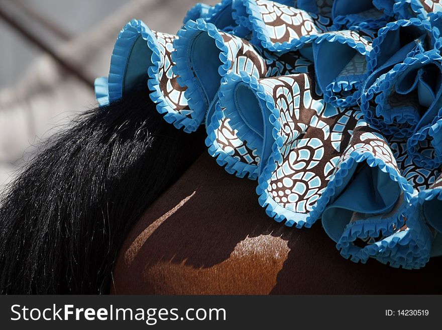 Partial view of a blue dress on the back of a brown horse. Partial view of a blue dress on the back of a brown horse.