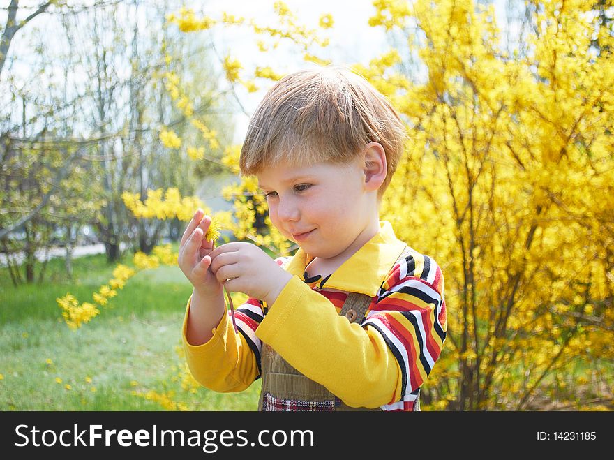 The little boy with a yellow flower. The little boy with a yellow flower