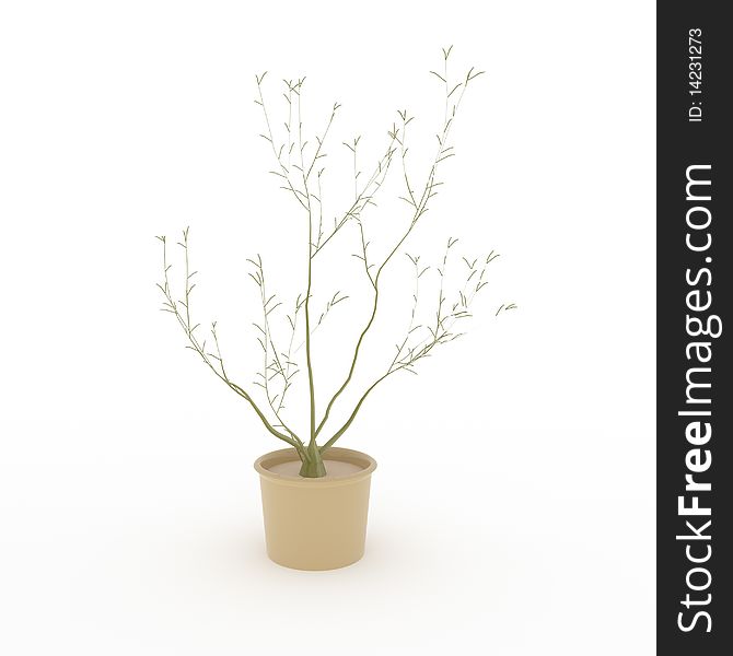 Small tree isolated on white - 3d illustration