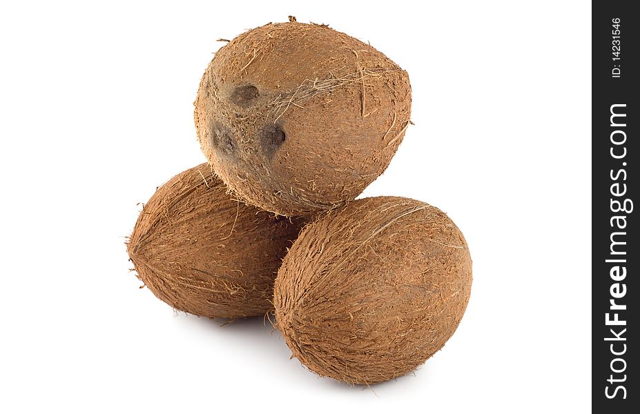 Three coconut isolated on a white background