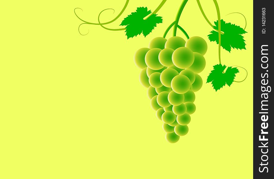 Ripe grape with green leaves. Ripe grape with green leaves