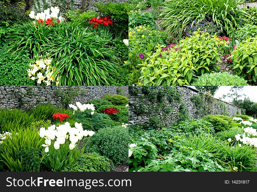 Four pictures of flower beds in spring. Four pictures of flower beds in spring