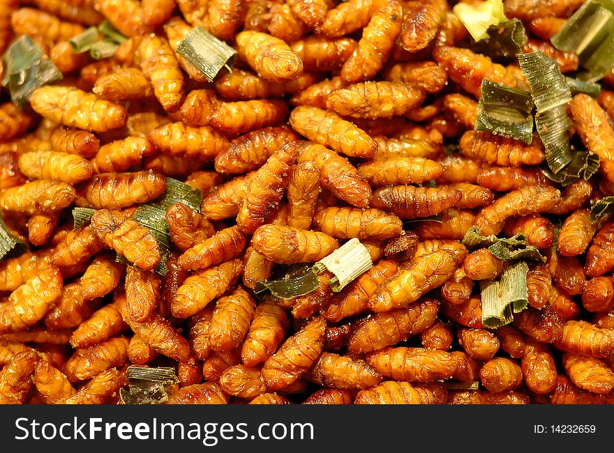 Insects Fry