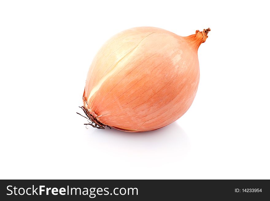 Onion ,isolated on white background