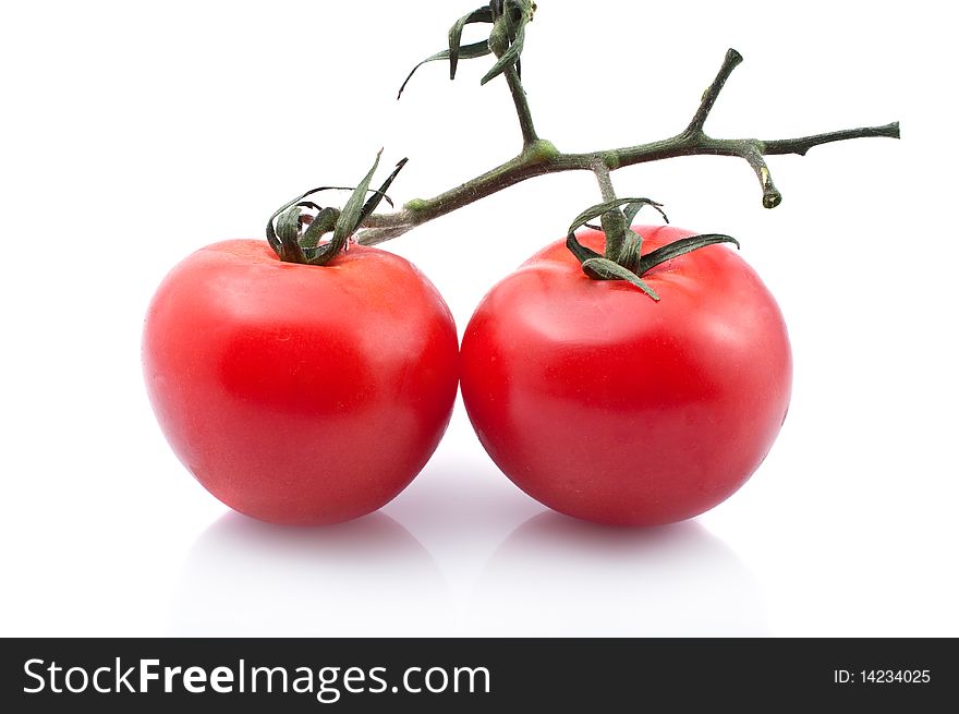 Ripe juicy tomatoes on green stem on the white background