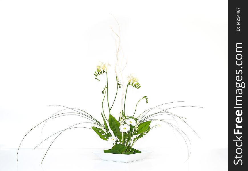 Floral decoration with freesia,  lily-of-the-valley, daisy and green leaf on white background. Floral decoration with freesia,  lily-of-the-valley, daisy and green leaf on white background