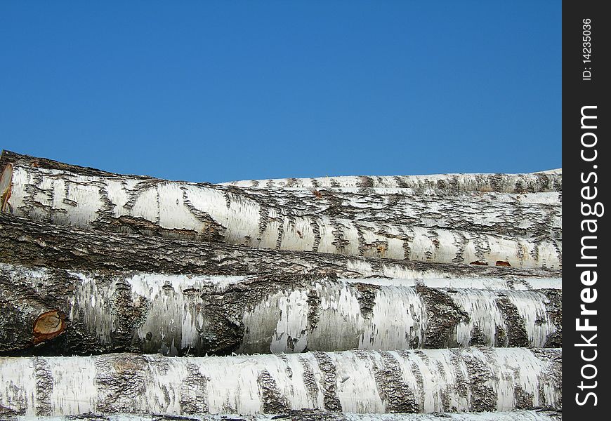 Birch logs on a background of the dark blue sky are shown on the image. Birch logs on a background of the dark blue sky are shown on the image.