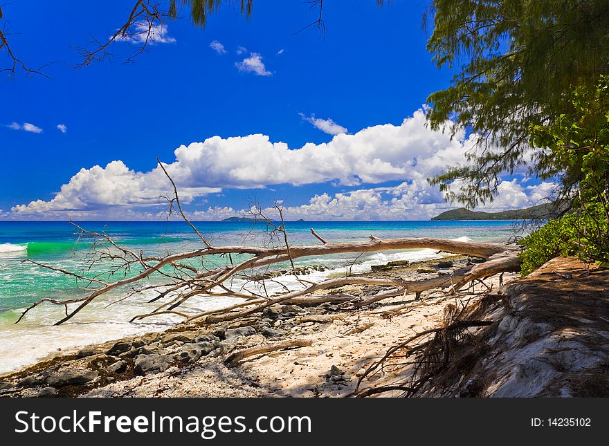 Tropical beach at Seychelles