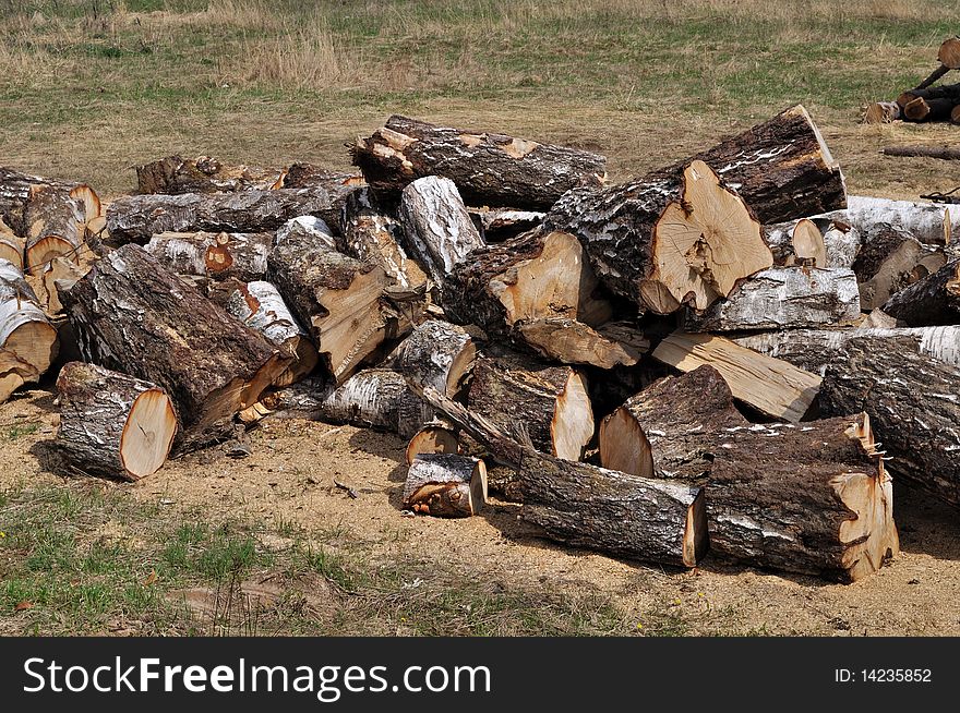 Pile of large birch chocks on the ground