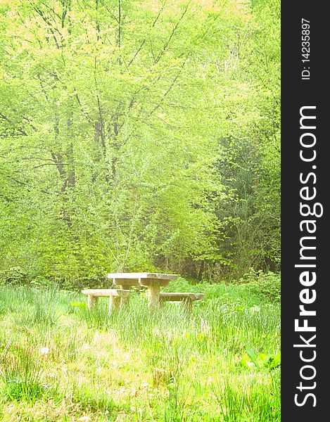 Picnic bench in the forest