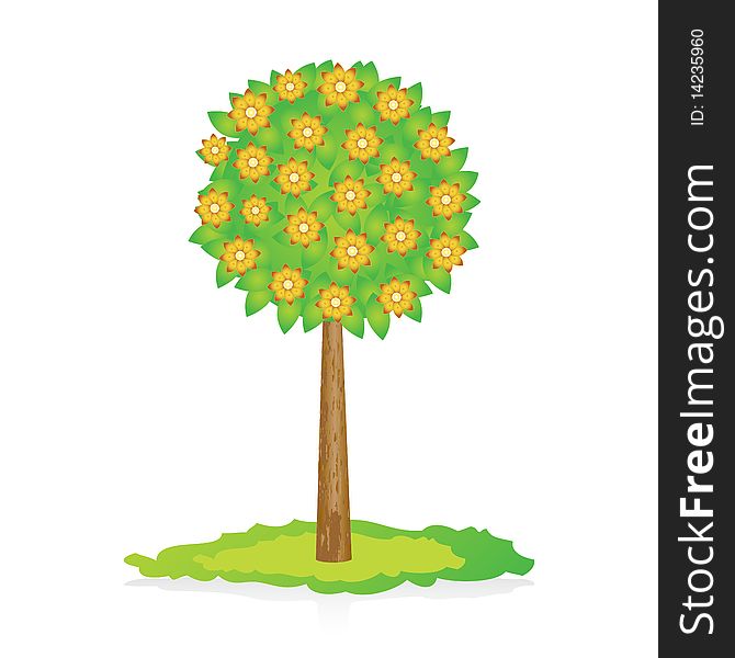 Detached blossoming orange tree flowers. Vector illustration. Detached blossoming orange tree flowers. Vector illustration.