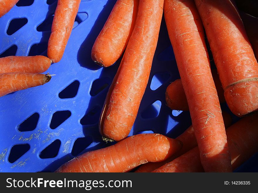 Carrots in a basket at farmers market