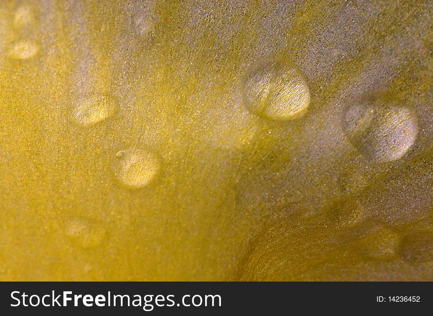 Close up shot of yellow Iris flower details. Close up shot of yellow Iris flower details