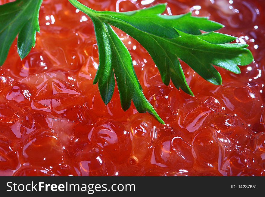Red caviar as a background with a branch of green parsley.