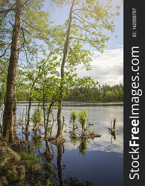 Evo Hiking Area, HÃ¤meenlinna, Finland