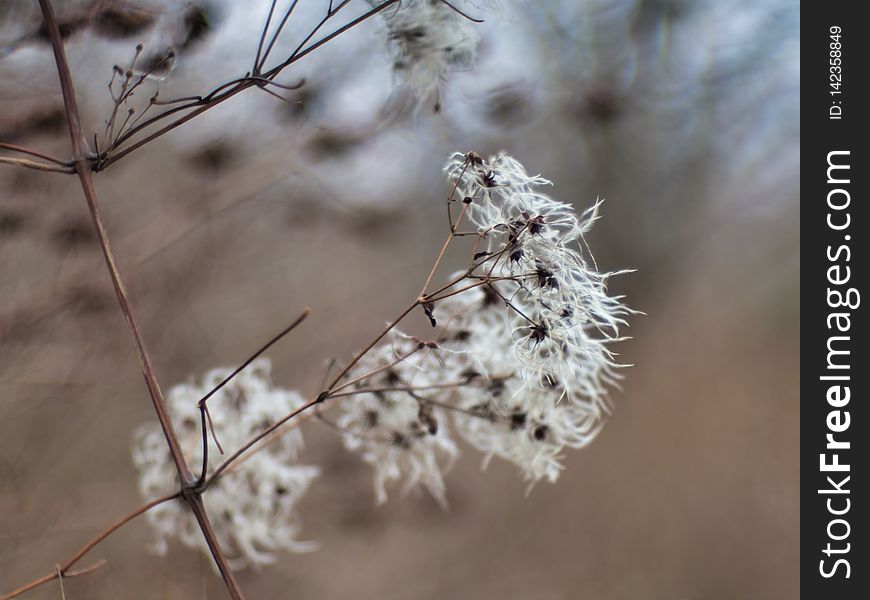 On The Wind