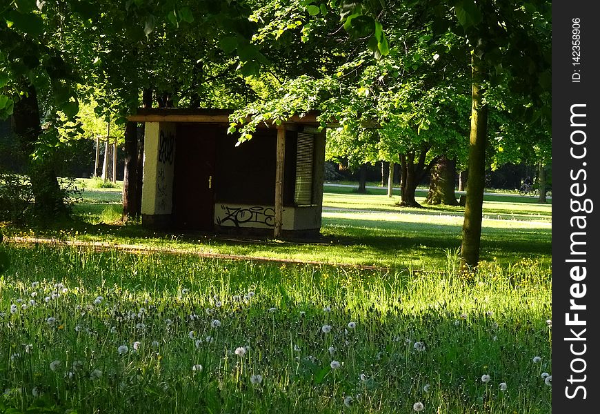 GroÃŸer Garten Park Dresden