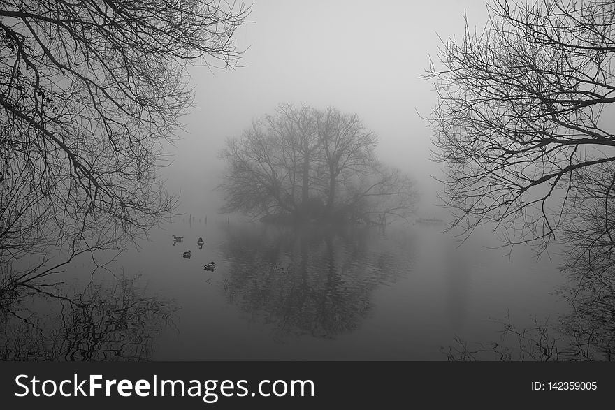 Taken in March 2012. Continuing uploads from the two mornings of rare foggy conditions in the park. Two Mallards with two Canada Geese behind taking an interest in proceedings. Best if you press L to open Flickr&#x27;s Lightbox and select Fullscreen. Taken in March 2012. Continuing uploads from the two mornings of rare foggy conditions in the park. Two Mallards with two Canada Geese behind taking an interest in proceedings. Best if you press L to open Flickr&#x27;s Lightbox and select Fullscreen.