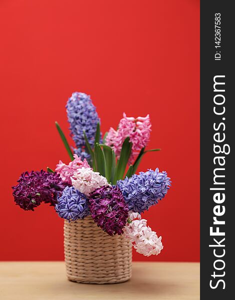 Beautiful hyacinths in wicker pot on table against color background