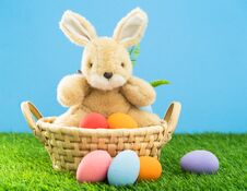 Bunny Toy And Easter Eggs In Basket Stock Photography