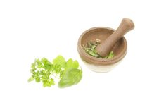 Fresh Herbs And Pestle And Mortar Royalty Free Stock Image