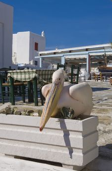 Pelican Sitting On A Flower Bed Around The Tables Stock Image Pelican Sitting On A Flower Bed Around The Tables Stock Image