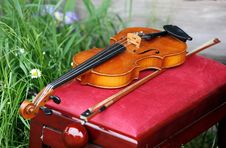 Classical Violin Stock Image