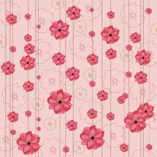 Floral Pink Background Stock Image Floral Pink Background Stock Image