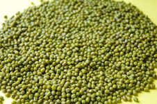 Green Bean Royalty Free Stock Photos Green Bean Royalty Free Stock Photos