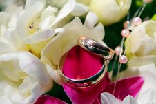 Wedding Rings With Flowers Stock Image Wedding Rings With Flowers Stock Image