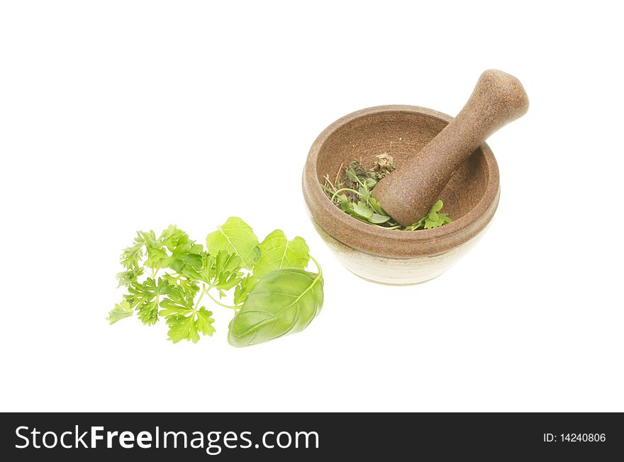 Fresh green herbs and a pestle and mortar on white. Fresh green herbs and a pestle and mortar on white