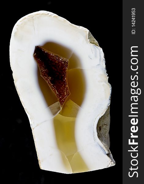 Chalcedony geode specimen on black background