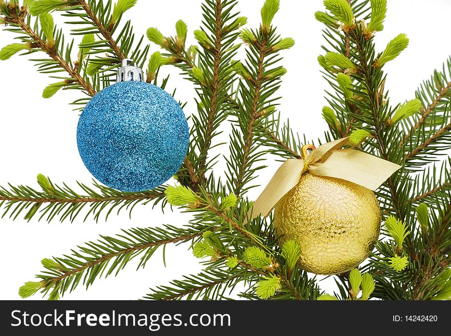 Gold and blue New Year's spheres balls  on a light green fur-tree branch. Isolated on white. Gold and blue New Year's spheres balls  on a light green fur-tree branch. Isolated on white.