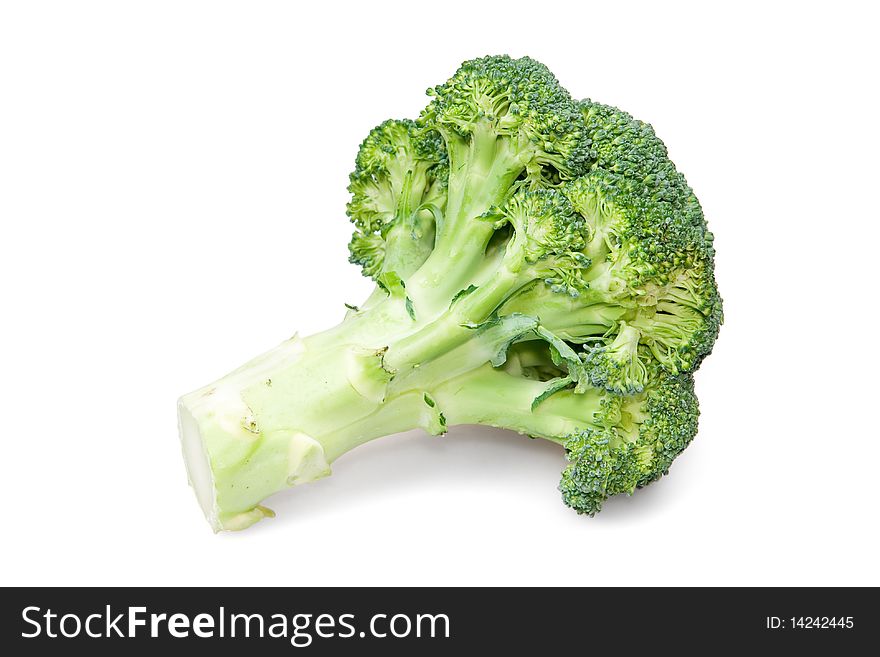 Ripe Broccoli Cabbage Isolated on White Background