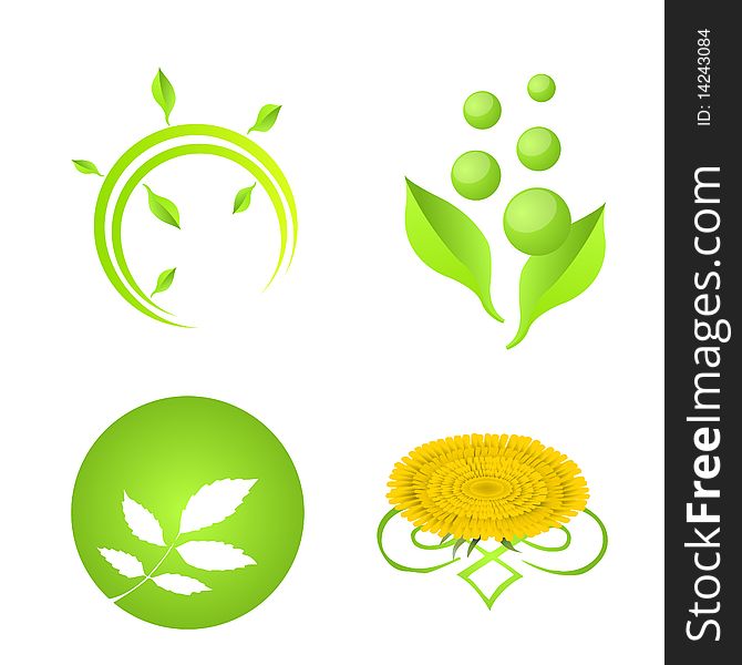 Isolated illustrated elements and symbols with natural items as leaves and flowers to use as branding material. Isolated illustrated elements and symbols with natural items as leaves and flowers to use as branding material