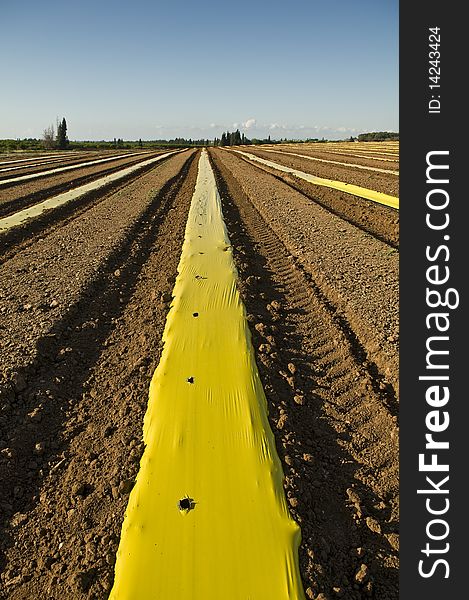 Plowed Field with yellow plastic strip