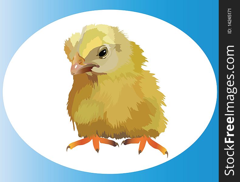 an image of picture of little yellow chicken is in an egg. an image of picture of little yellow chicken is in an egg