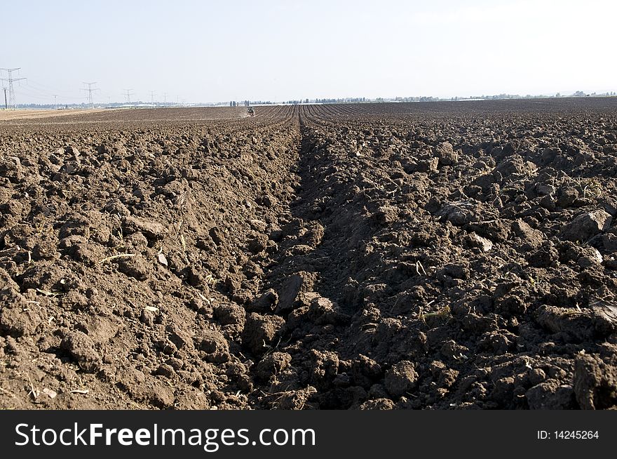 Plowed Field