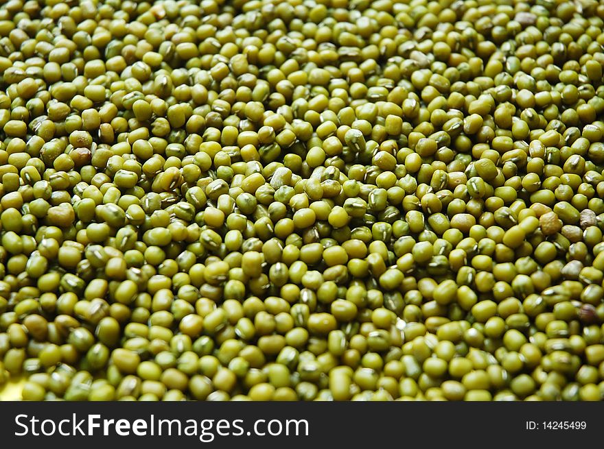 Isolated macro of green bean