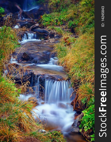 The cascade of the mountain river and yellow flowers