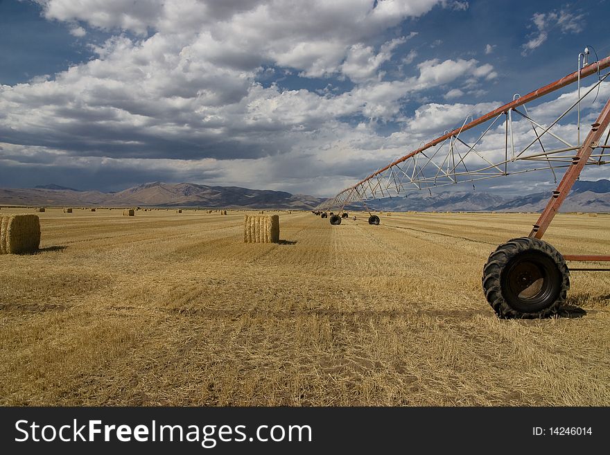 Landscape view af a wheat field after the harvest in Idaho