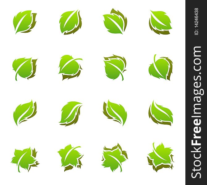 Leaves. Elements For Design.