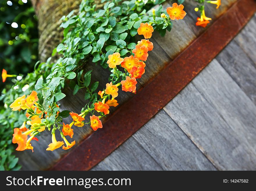 Littlle yellow hanging flowers background