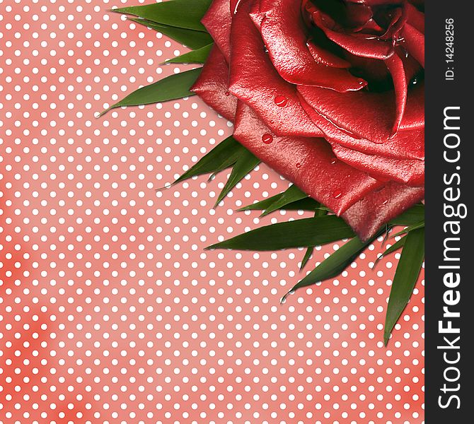 Grunge background with red rose for design