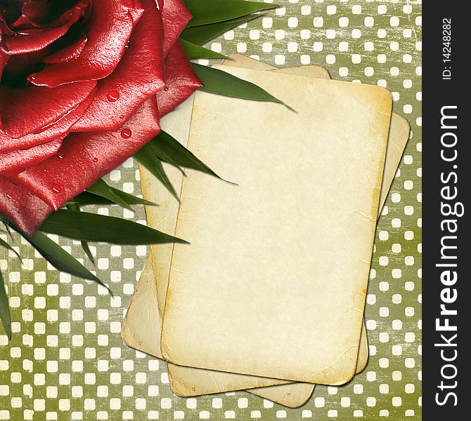Grunge papers with red rose for design
