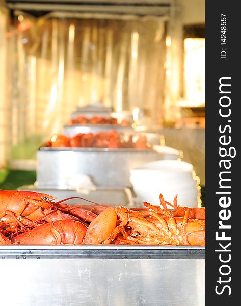 Great quantity of lobsters at a corporate event. Great quantity of lobsters at a corporate event