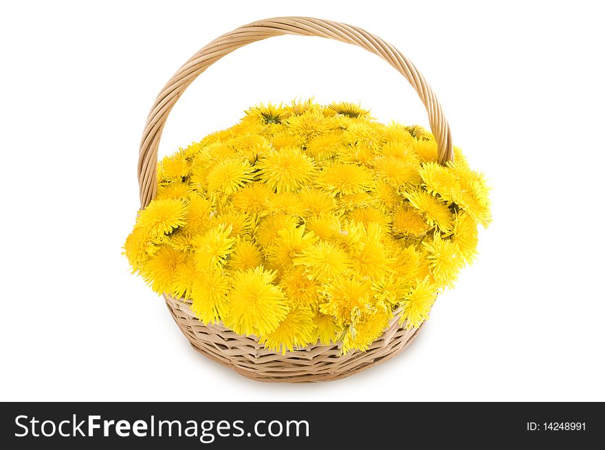 Basket of dandelions