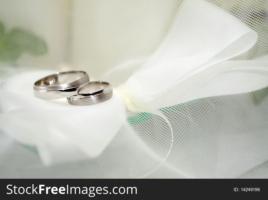 Wedding Rings and white veil